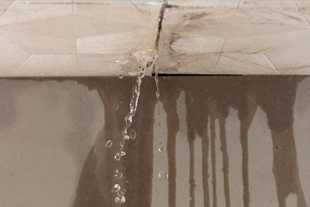 Professional Burst Pipe Cleanup technician working in Stewartville, AL